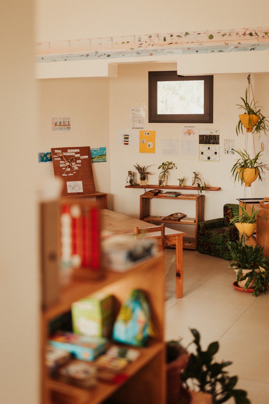 Coin lecture aménagé avec plantes et livres