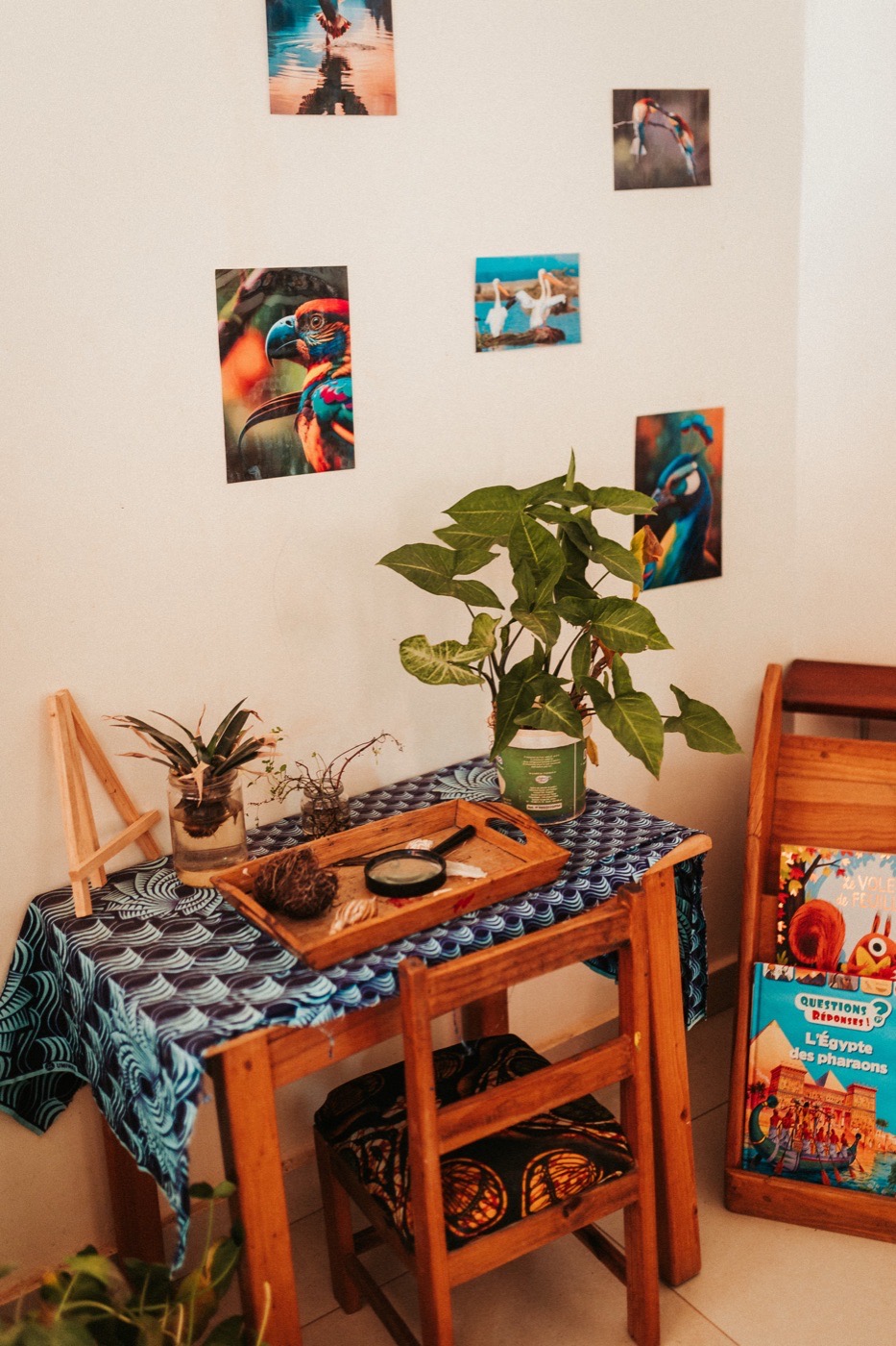Coin culturel avec affiches d'oiseaux et plantes