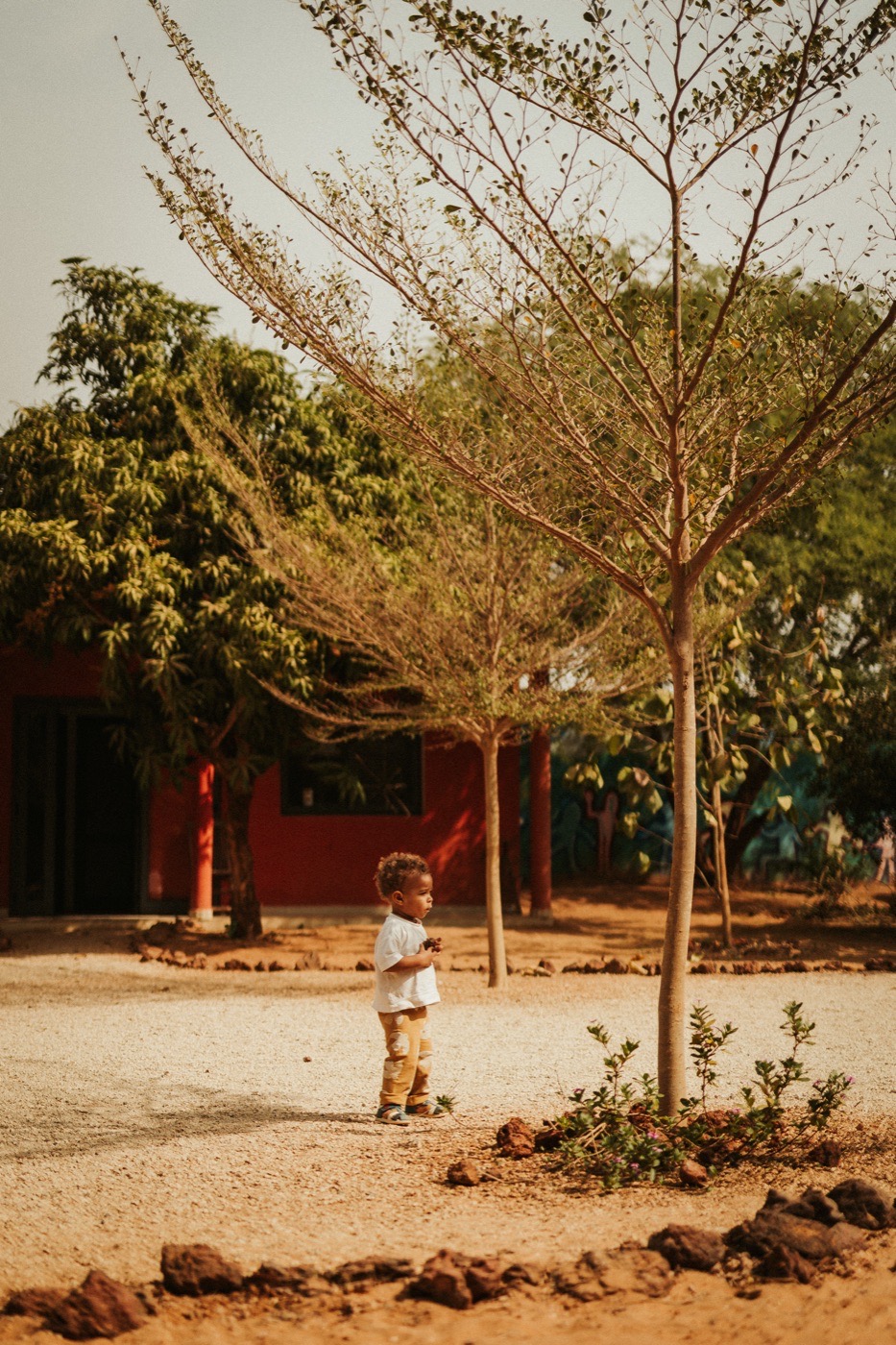 Un enfant marche seul entre les arbres de l'école